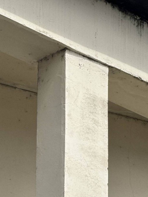 Detalle de una columna de concreto observado durante una inspección técnica