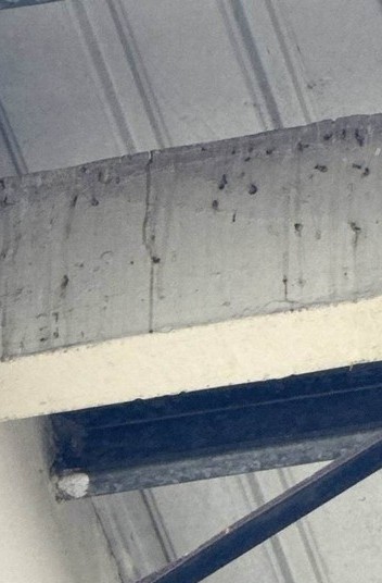 Detalle de una columna de concreto observado durante una inspección técnica